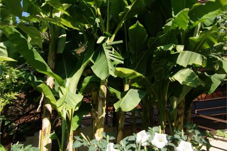 Открытый бассейн