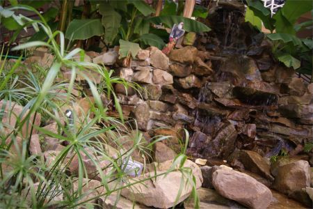 Открытый бассейн