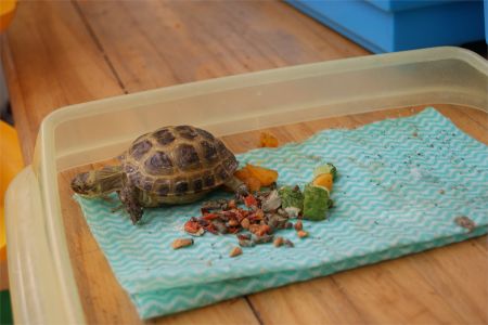 Открытый бассейн