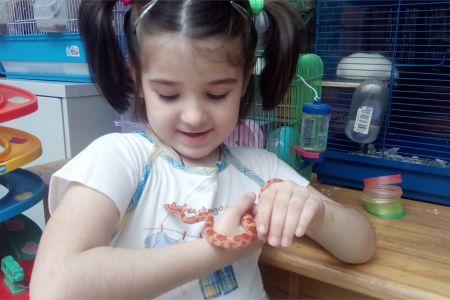 Живой уголок