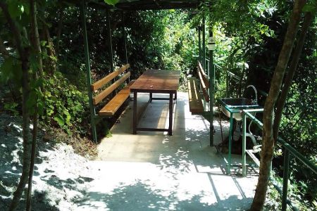 Живой уголок